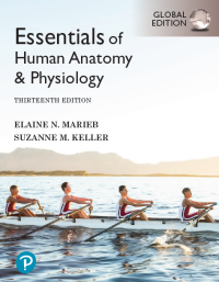 Image of Essentials of human anatomy & physiology